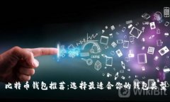 比特币钱包推荐：选择最