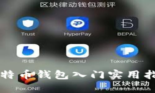 比特币钱包入门实用指南
