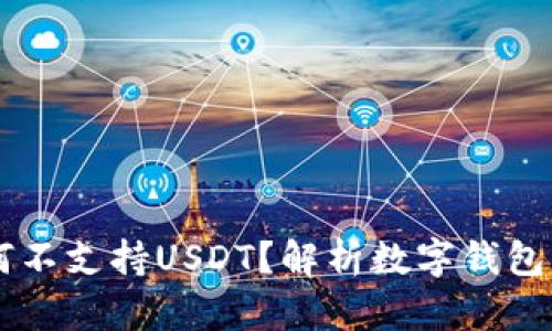 IM钱包为何不支持USDT？解析数字钱包的币种选择