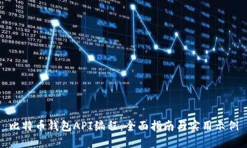 比特币钱包API编程：全面指南与实用示例
