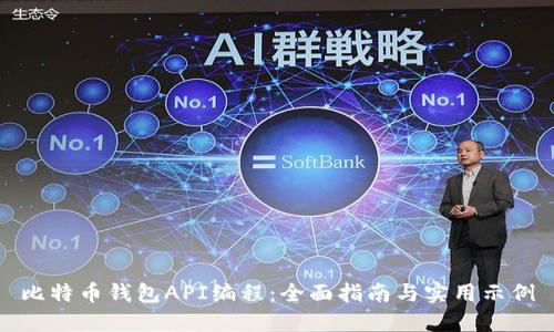 比特币钱包API编程：全面指南与实用示例