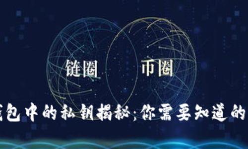 比特币钱包中的私钥揭秘：你需要知道的所有信息